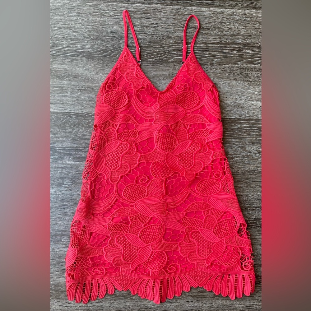 Express Floral Lace Dress